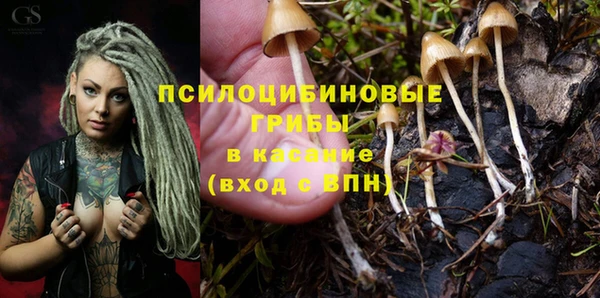 спайс Арсеньев