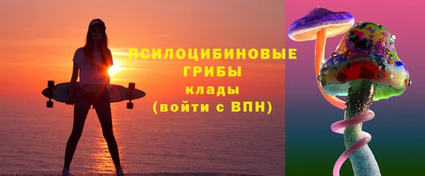 тгк Алзамай