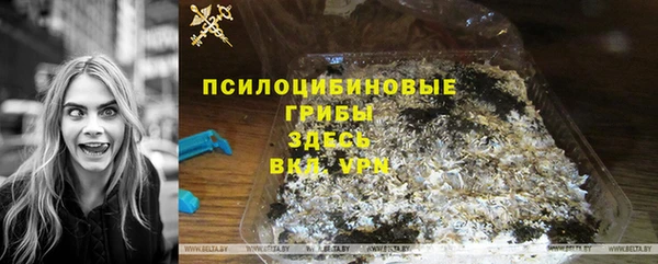 спайс Арсеньев