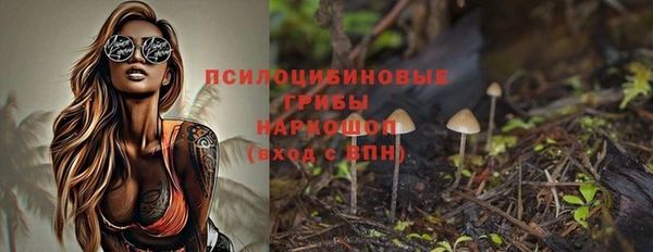 MESCALINE Аркадак